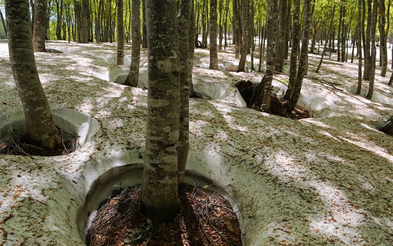 野沢温泉スキー場はGWまで営業していますので春スキーを存分に楽しめます。もちろん新緑の残雪トレッキングも気持ちいい！